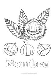 Colorear para personalizar Árbol Castaña