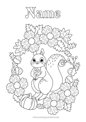 Free colouring Pumpkin Squirrel Autumn Animal Leaves Forest animals