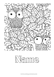 Free colouring Owl, Tawny owl Leaves Birds and flying mammals