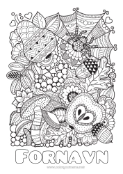 Fargeleggingssiden å tilpasse Edderkopp Høst Zentangle Insekter Kjertel