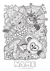 Free drawing Spider Autumn Zentangle Insects Acorn