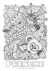 Pagină de colorat personalizată Păianjen Toamnă Zentangle Insecte Gland