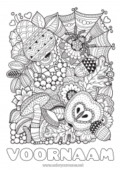 Gratis kleurplaat Spin Herfst Zentangle Insecten Eikel