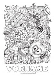 Kostenlose Zeichnung Spinne Herbst Zentangle Insekten Eichel