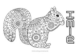 Kolorowanka za darmo Spokojny i zen Mandala Wiewiórka Jesień Zwierzę Doodle Zentangle Antystres Zwierzęta leśne