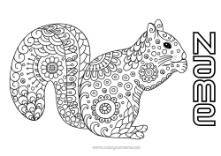 Free colouring Calm and zen Mandala Squirrel Autumn Animal Doodle Zentangle Anti-stress Forest animals