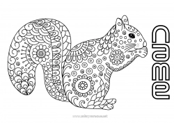 Free coloring Calm and zen Mandala Squirrel Autumn Animal Doodle Zentangle Antistress Forest animals