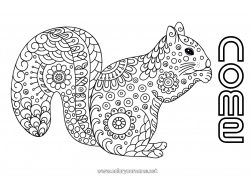 Disegno gratuito Calmo e sereno Mandala Scoiattolo Autunno Scarabocchio Zentangle Anti-stress Animali della foresta