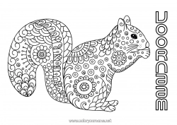 Gratis tekening Rustig en zen Mandala Eekhoorn Herfst Dier Doodle Zentangle Anti-stress Bosdieren