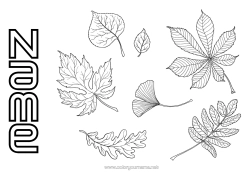 Colouring to customise Autumn Leaves Oak Maple