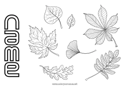 Free coloring Autumn Leaves Oak Maple