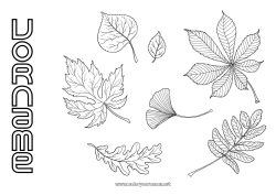 Malvorlage anpassen Herbst Blätter Eiche Ahorn