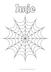 Rysunek za darmo Pająk Halloween Zwierzę Owady Sieć pajęcza