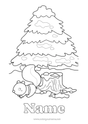 Free colouring Snow Squirrel Animal Forest animals Fir tree
