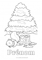 Coloriage gratuit Neige écureuil Animal Animaux de la forêt Sapin