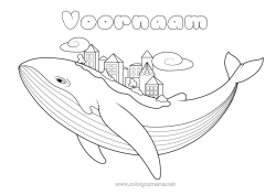 Gratis tekening Walvis Zee Dier Sprookje Zeedieren