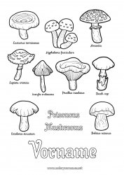 Kostenlose Malvorlage Kinderaktivitäten Pilz