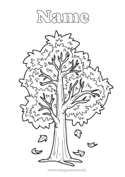Colouring to customise Autumn Leaves Tree Oak