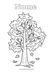 Colorazione gratuita Autunno Foglie Albero Quercia