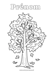 Coloriage gratuit Automne Feuilles Arbre