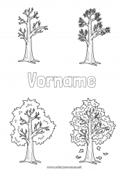 Kostenlose Malvorlage Baum Jahreszeit