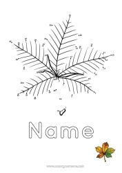 Colouring to customise Autumn Leaves Connecting Points Trace And Colour. Connect The Numbers