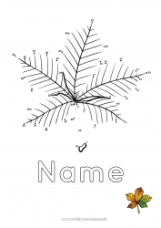 Coloring to customize Autumn Leaves Connect the dots Trace and color Connect the Numbers