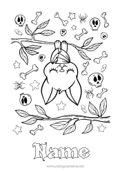 Free colouring Bat Halloween Animal Birds and flying mammals