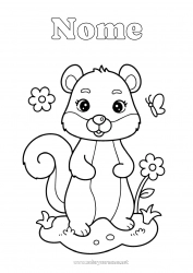 Desenho para personalizar Esquilo Animal Animais da floresta