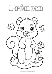 Coloriage gratuit écureuil Animal Animaux de la forêt