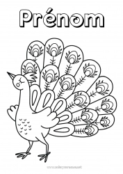 Coloriage gratuit Animal Paon Oiseaux et mammifères volants