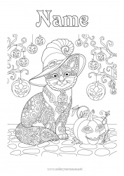 Free coloring Pumpkin Black cat Halloween Hat Zentangle