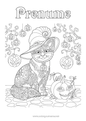 Pagină de colorat gratuită Dovleac Pisica neagră Halloween Animal Pălărie Zentangle
