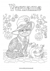 Kostenlose Zeichnung Kürbis Schwarze Katze Halloween Hut Zentangle