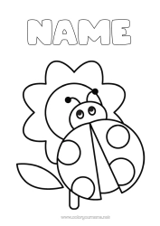 Colouring to customise Flowers Animal Ladybird Easy Colouring Pages Insects