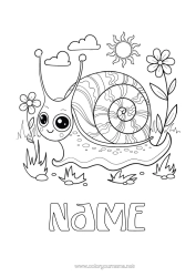 Free colouring Animal Snail