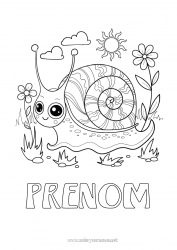 Coloriage gratuit Animal Escargot