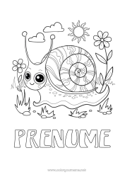 Desen liber de colorat Animal Melc