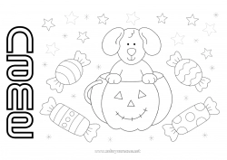 Free coloring Sweets Pumpkin Halloween Dog Animal Dog and cat