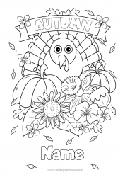 Coloring to customize Pumpkin Flowers Thanksgiving Turkey Autumn Farm animals Acorn