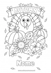 Disegno gratuito Zucca Fiori Thanksgiving Tacchino Autunno Animali da fattoria Ghianda