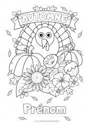 Coloriage gratuit Citrouille Fleurs Thanksgiving Dindon Automne Animaux de la ferme Gland