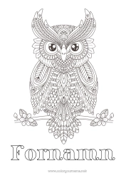 Gratis färgläggning Uggla, Hök Djur Komplexa målarbilder Zentangle Fåglar och flygande däggdjur