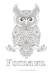 Gratis fargelegging Kule, Ugle Dyr Komplekse fargelegginger Zentangle Fugler og flygende pattedyr