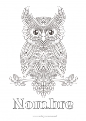 Dibujo libre Búho Animales Dibujos complejos para colorear Zentangle Aves y mamíferos voladores
