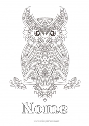 Desenho grátis Coruja Animal Colorações Complexas Zentangle Pássaros e mamíferos voadores
