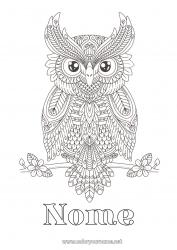 Disegno gratuito Gufo, Civetta Animale Colorazioni complesse Zentangle Uccelli e mammiferi volanti