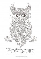 Coloriage gratuit Chouette, Hibou Animal Coloriages complexes Zentangle Oiseaux et mammifères volants
