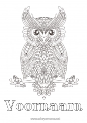 Gratis kleurplaat Uil, Kerkuil Dier Complex Kleurplaten Zentangle Vogels en vliegende zoogdieren