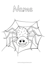 Free colouring Spider Animal Insects Cobweb